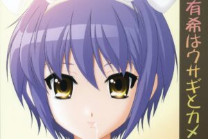 長門有希はウサギとカメの