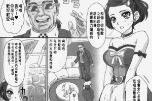 アイドルのお仕事 (ドキドキ！プリキュア)