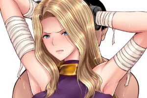 美しき姫騎